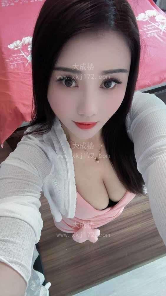 黄埔服务型大波燕子